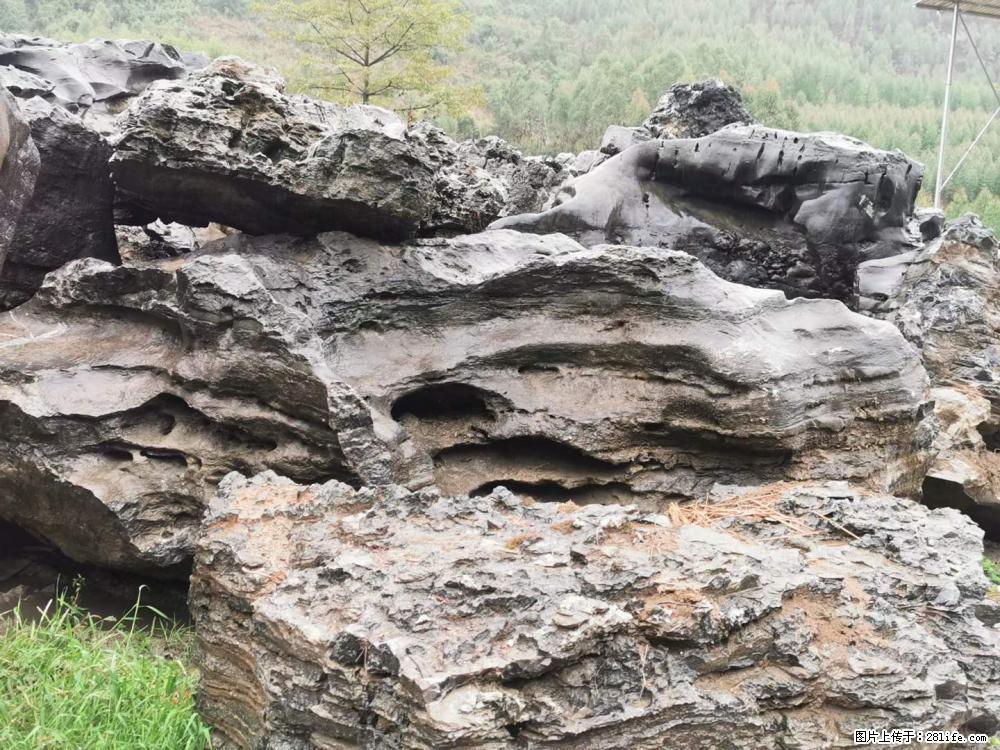 风景石、假山石大量有货，有需要的欢迎联系 - 新手上路 - 南阳生活社区 - 南阳28生活网 ny.28life.net