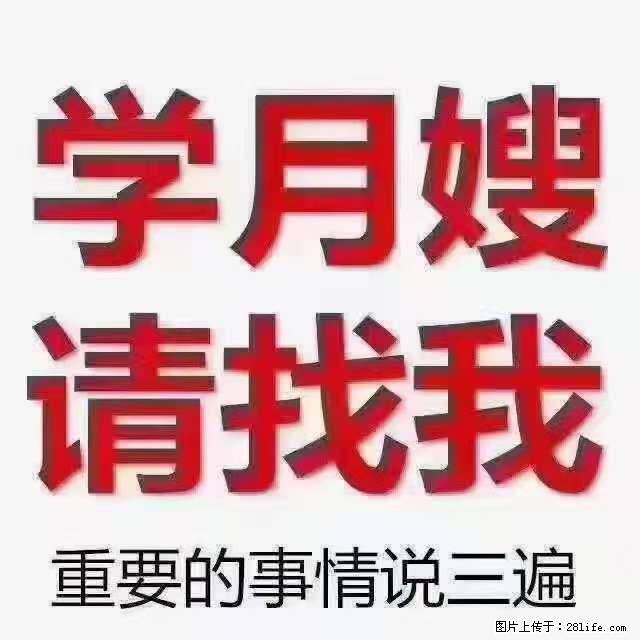 为什么要学习月嫂，育婴师？ - 其他广告 - 广告专区 - 南阳分类信息 - 南阳28生活网 ny.28life.net