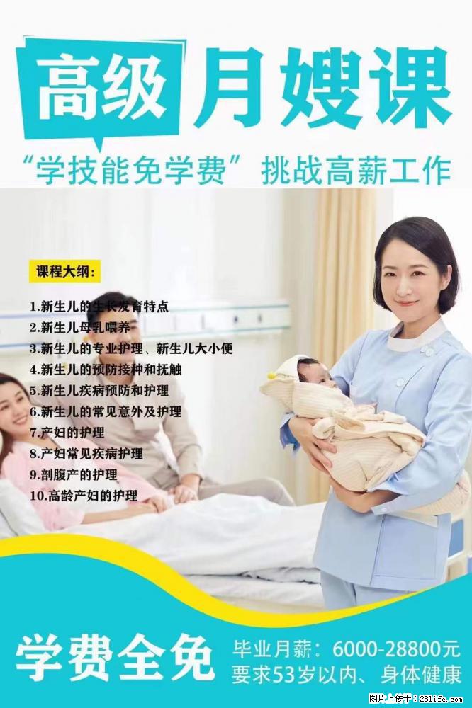 为什么要学习月嫂，育婴师？ - 新手上路 - 南阳生活社区 - 南阳28生活网 ny.28life.net