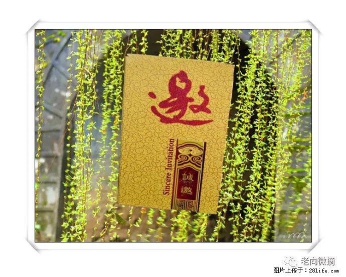 【春天，广西桂林灌阳县向您发出邀请！】开篇 - 游山玩水 - 南阳生活社区 - 南阳28生活网 ny.28life.net