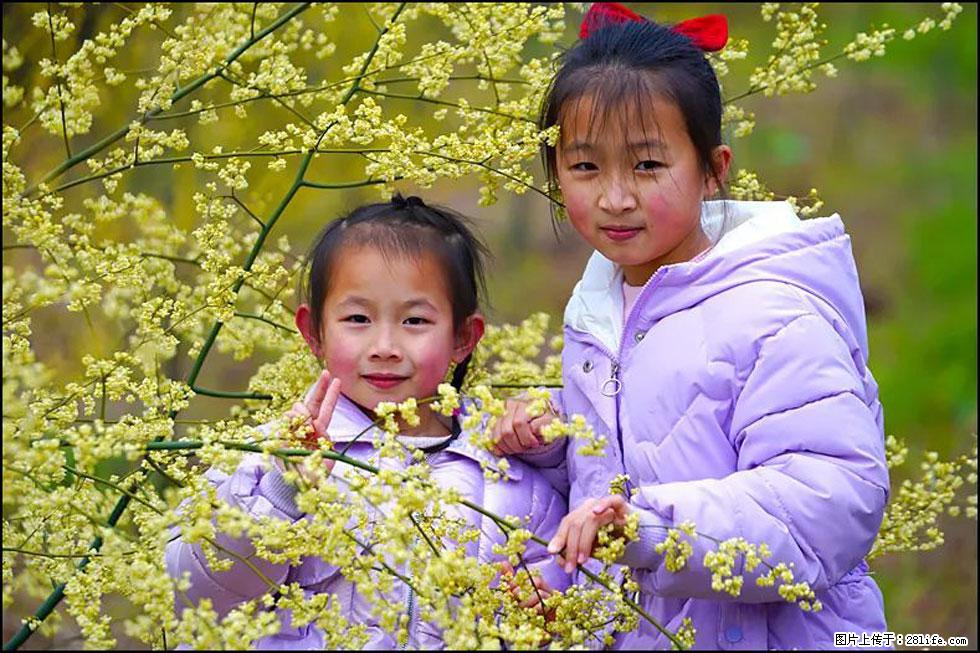 【春天，广西桂林灌阳县向您发出邀请！】米珠山前有片山苍子花在飘香 - 游山玩水 - 南阳生活社区 - 南阳28生活网 ny.28life.net