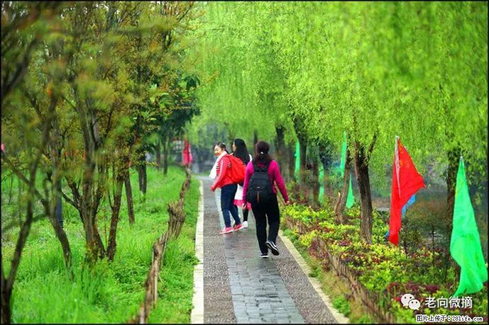 【春天，广西桂林灌阳县向您发出邀请！】江口老街又逢春 - 游山玩水 - 南阳生活社区 - 南阳28生活网 ny.28life.net