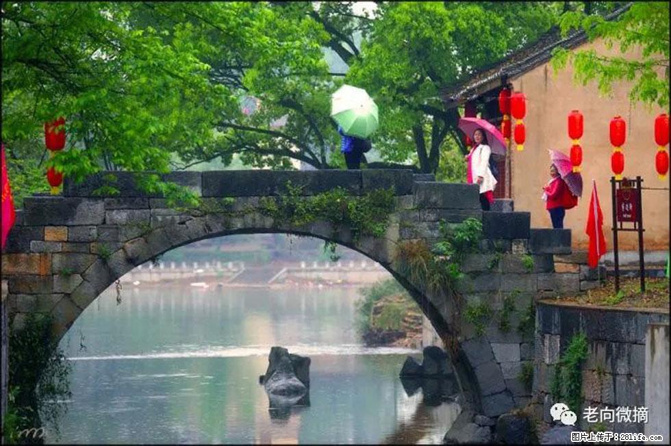 【春天，广西桂林灌阳县向您发出邀请！】江口老街又逢春 - 游山玩水 - 南阳生活社区 - 南阳28生活网 ny.28life.net