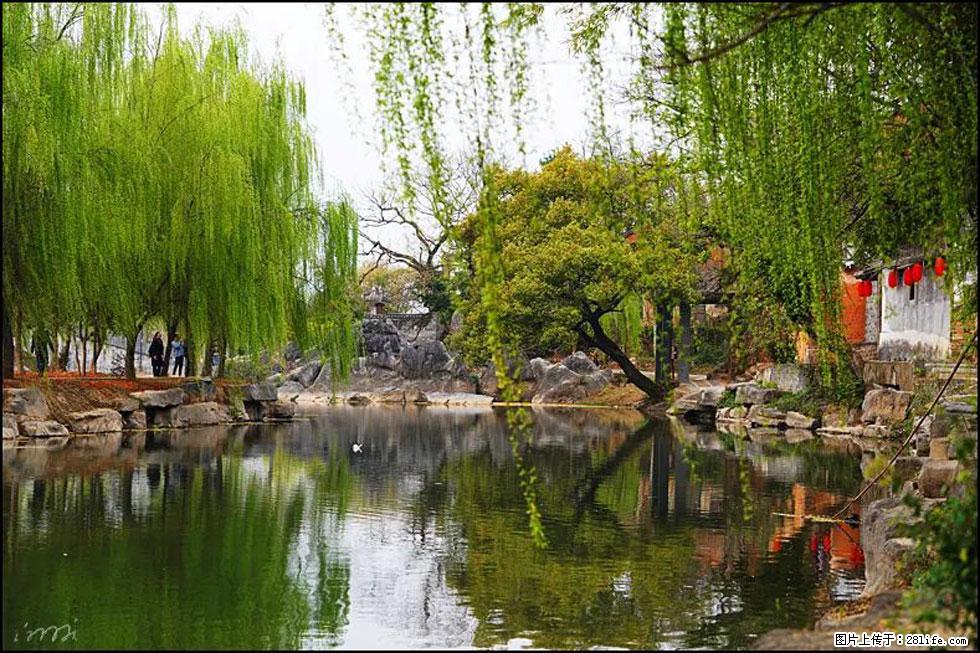 【春天，广西桂林灌阳县向您发出邀请！】江口老街又逢春 - 游山玩水 - 南阳生活社区 - 南阳28生活网 ny.28life.net