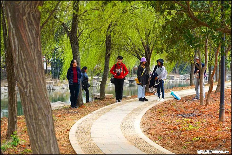 【春天，广西桂林灌阳县向您发出邀请！】江口老街又逢春 - 游山玩水 - 南阳生活社区 - 南阳28生活网 ny.28life.net