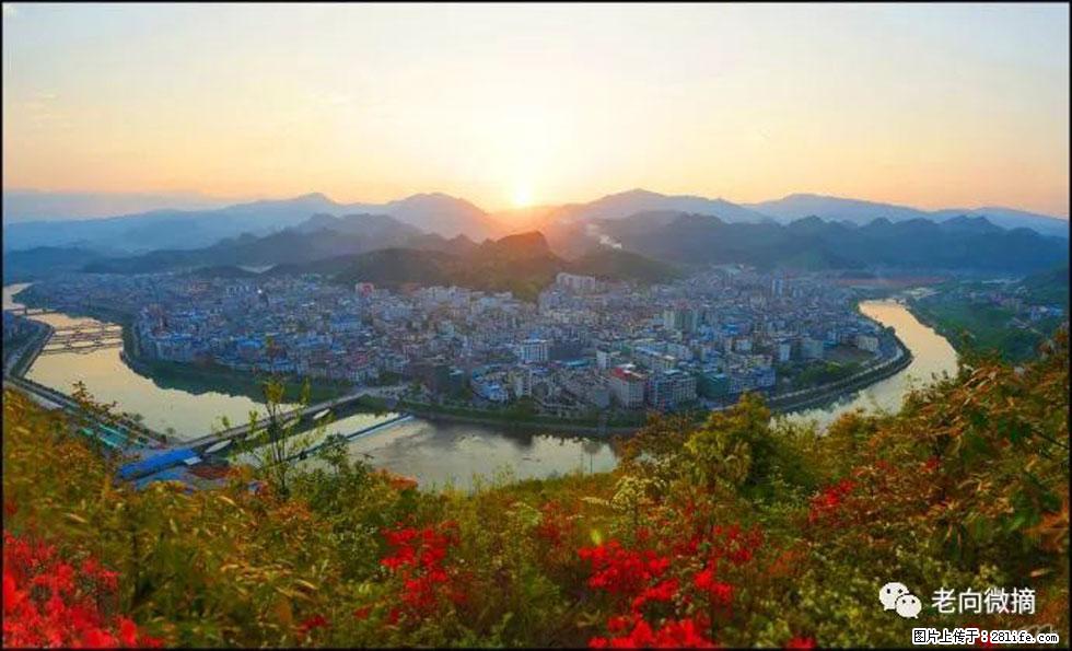 【春天，广西桂林灌阳县向您发出邀请！】登麒麟山，相约映山红 - 游山玩水 - 南阳生活社区 - 南阳28生活网 ny.28life.net