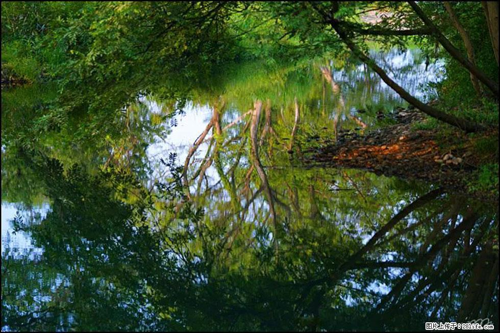 【春天，广西桂林灌阳县向您发出邀请！】熊家寨湿地公园 - 游山玩水 - 南阳生活社区 - 南阳28生活网 ny.28life.net