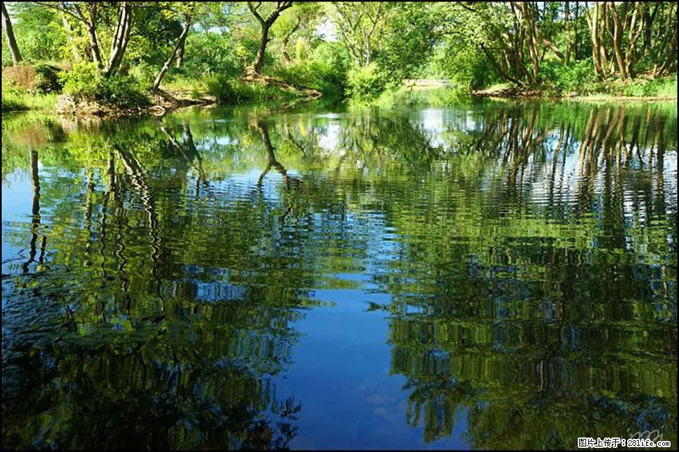 【春天，广西桂林灌阳县向您发出邀请！】熊家寨湿地公园 - 游山玩水 - 南阳生活社区 - 南阳28生活网 ny.28life.net