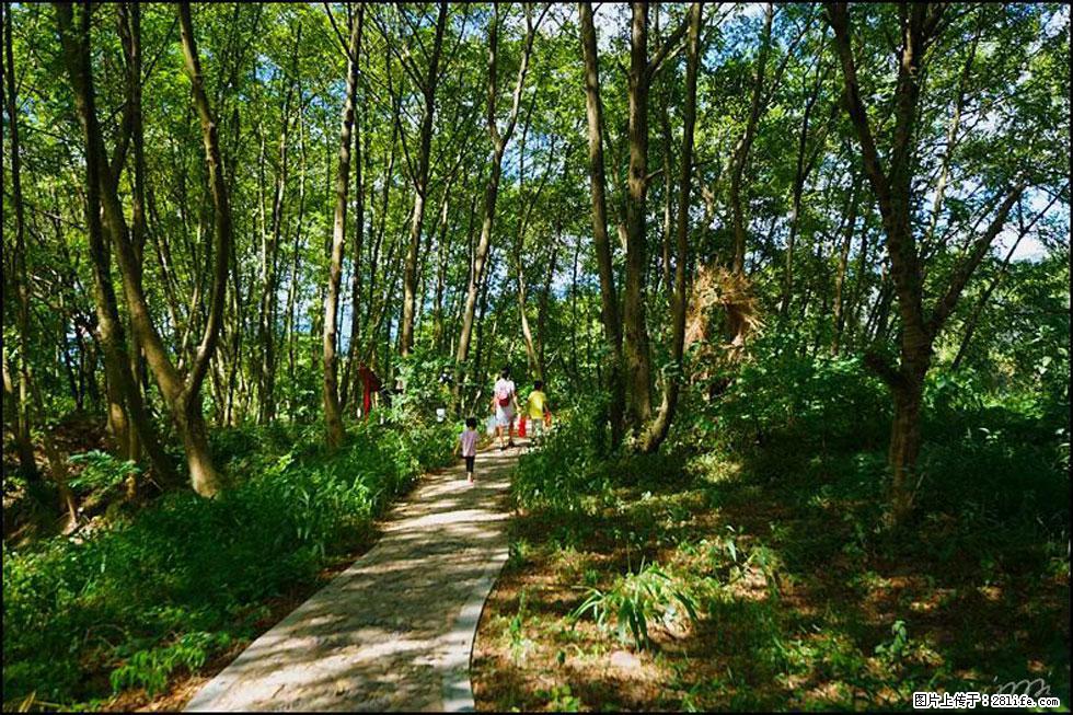【春天，广西桂林灌阳县向您发出邀请！】熊家寨湿地公园 - 游山玩水 - 南阳生活社区 - 南阳28生活网 ny.28life.net