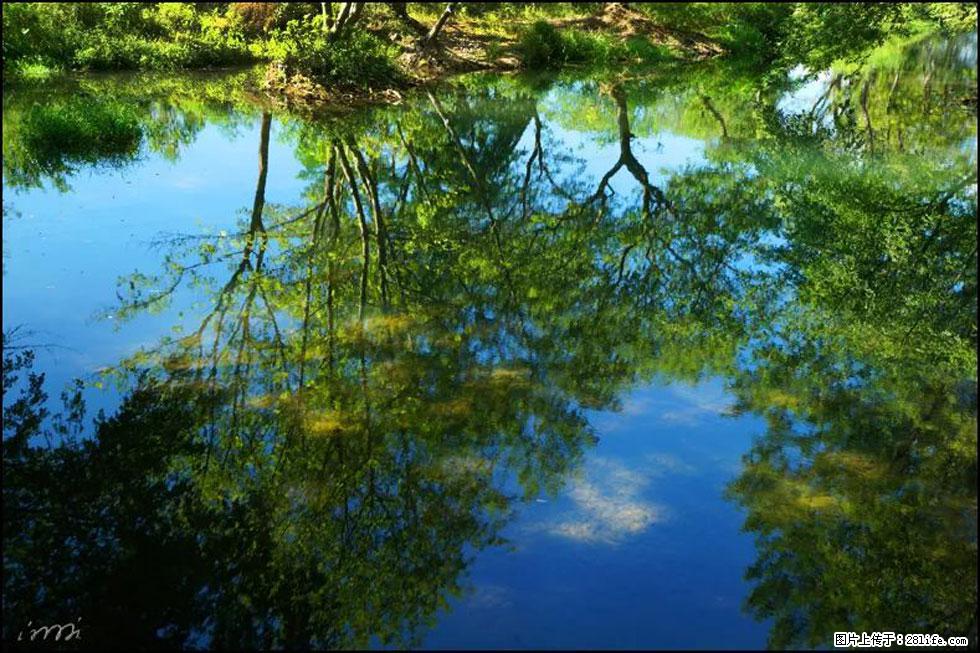 【春天，广西桂林灌阳县向您发出邀请！】熊家寨湿地公园 - 游山玩水 - 南阳生活社区 - 南阳28生活网 ny.28life.net