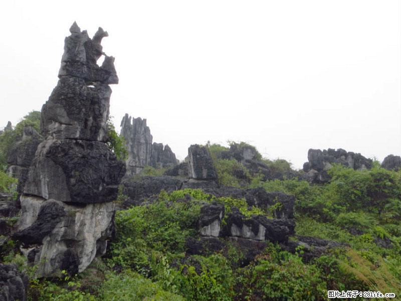 桂林旅游名城景点：灌阳文市石林 - 游山玩水 - 南阳生活社区 - 南阳28生活网 ny.28life.net