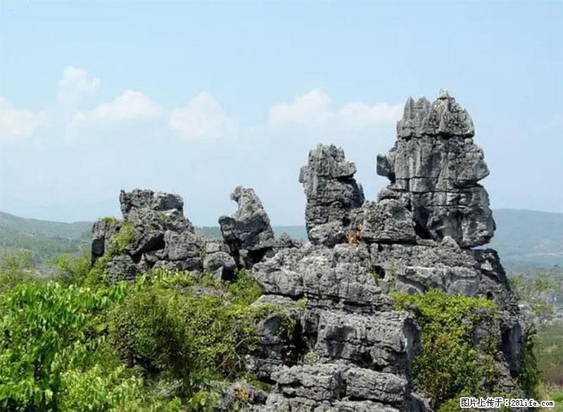 桂林旅游名城景点：灌阳文市石林 - 游山玩水 - 南阳生活社区 - 南阳28生活网 ny.28life.net