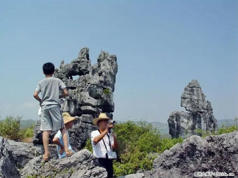 桂林旅游名城景点：灌阳文市石林 - 游山玩水 - 南阳生活社区 - 南阳28生活网 ny.28life.net
