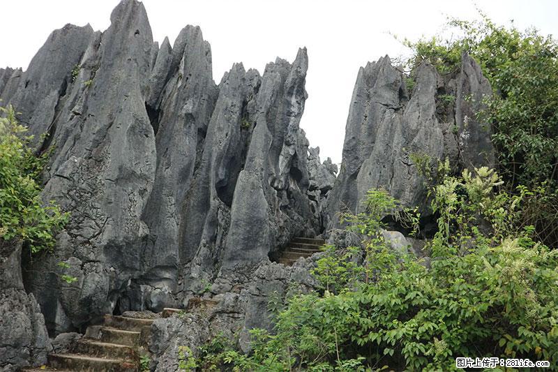 桂林旅游名城景点：灌阳文市石林 - 游山玩水 - 南阳生活社区 - 南阳28生活网 ny.28life.net