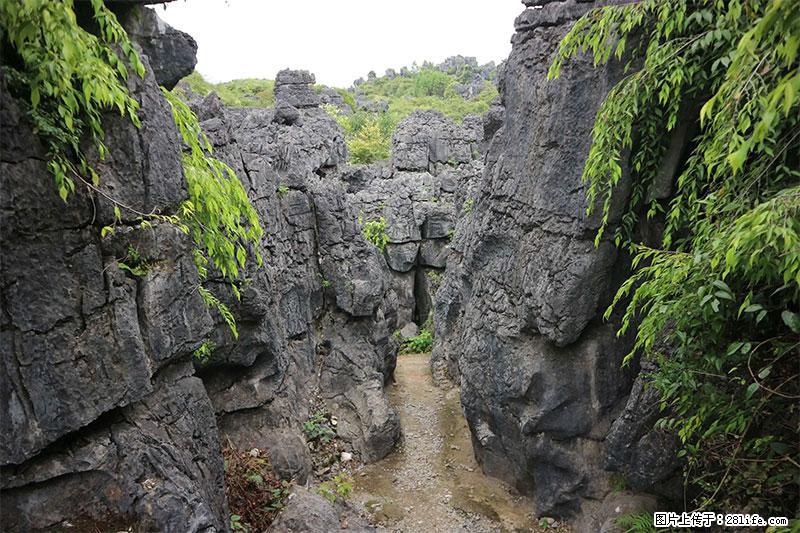 桂林旅游名城景点：灌阳文市石林 - 游山玩水 - 南阳生活社区 - 南阳28生活网 ny.28life.net