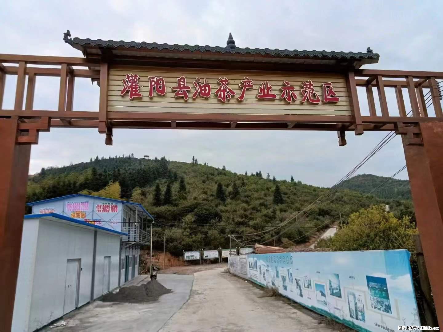 【灌阳县油茶产业示范区】一个有着充实的精神生活的人，对待身外之物自会有一种淡泊的态度 - 土特产 - 饮食特产 - 南阳分类信息 - 南阳28生活网 ny.28life.net