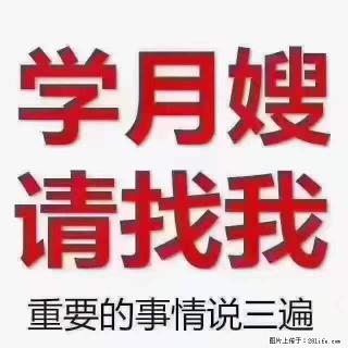 为什么要学习月嫂，育婴师？ - 南阳28生活网 ny.28life.net