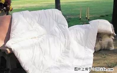 被子有异味?只要这样做,比晒太阳还强100倍! - 家居生活 - 南阳生活社区 - 南阳28生活网 ny.28life.net
