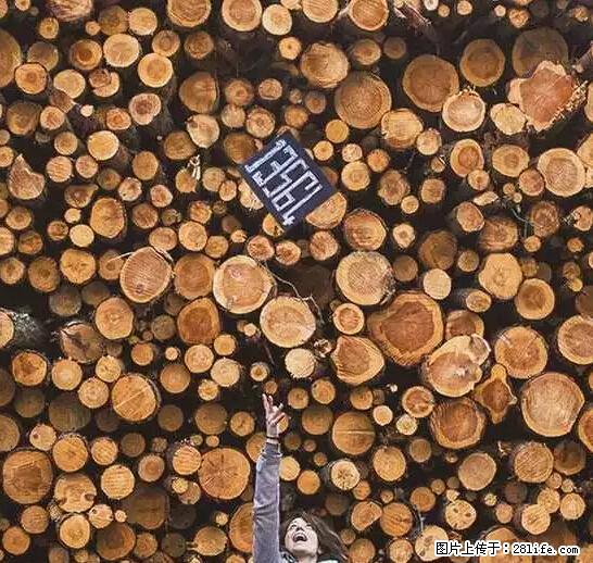辞掉工作周游世界？现在他们在洗厕所…… - 游山玩水 - 南阳生活社区 - 南阳28生活网 ny.28life.net