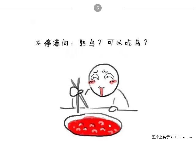 千万不要和这9种哈卵一起吃火锅! - 美食天地 - 南阳生活社区 - 南阳28生活网 ny.28life.net