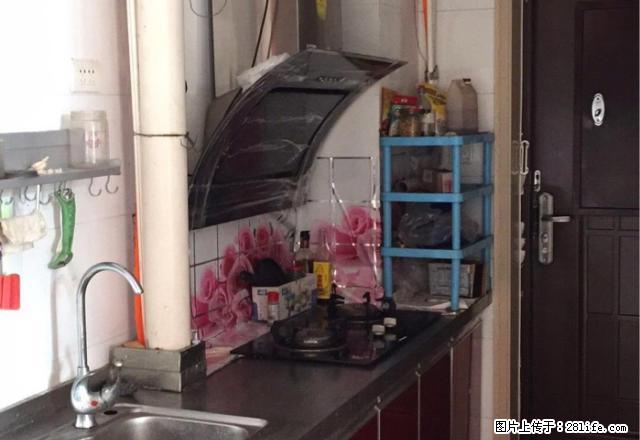 麒麟路 三鑫园旁 百里阳光1室急租 电梯房 拎包入住 - 房屋出租 - 房屋租售 - 南阳分类信息 - 南阳28生活网 ny.28life.net