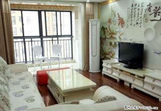 主推 热门小区 兰乔圣菲豪装两室 家电家具全齐 随时看 - 南阳28生活网 ny.28life.net