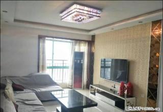 建设路宇信对面鑫邦花园豪华两室家具家电齐全 拎包入住 - 南阳28生活网 ny.28life.net
