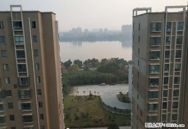 带入户花园观河景 简约大三室 190平米办公 可观河景 - 房屋出租 - 房屋租售 - 南阳分类信息 - 南阳28生活网 ny.28life.net