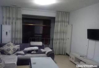 独山大道附近带暖气房源出租，看房方便又钥匙，居住办公均可 - 南阳28生活网 ny.28life.net