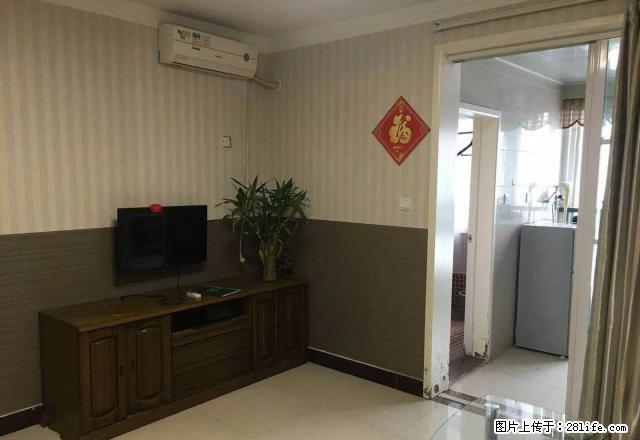 林溪谷附近新华城市广场精装一室   就这一套！！ - 房屋出租 - 房屋租售 - 南阳分类信息 - 南阳28生活网 ny.28life.net