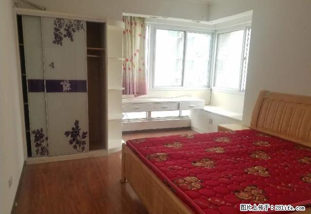 建设路宇信凯旋城对面鑫邦花园 精装3室 家电齐全 拎包入住 - 房屋出租 - 房屋租售 - 南阳分类信息 - 南阳28生活网 ny.28life.net
