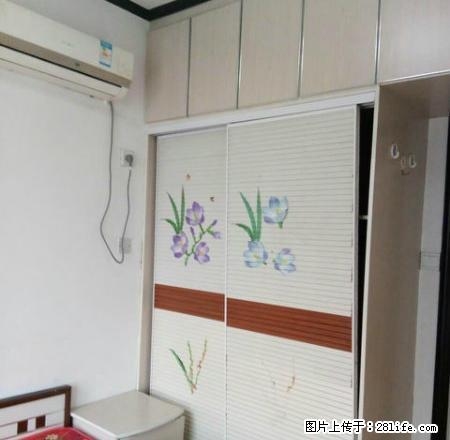 新华城市广场 两室一厅 精装修 拎包入住 出行便利 - 房屋出租 - 房屋租售 - 南阳分类信息 - 南阳28生活网 ny.28life.net