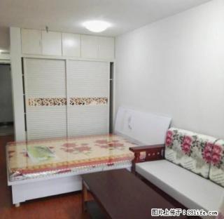 工业路 常绿林溪谷 精装修1200/月 拎包入住 - 南阳28生活网 ny.28life.net