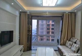 21小附近 3室2厅 精装修 家具家电齐全 新出租 拎包入住 - 南阳28生活网 ny.28life.net