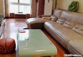 孔明北路森林半岛精装修一室一厅拎包入住！仅此一套！手慢无！ - 南阳28生活网 ny.28life.net