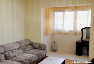 独山大道汉冶路 儒林商都 精装温馨两室 拎包入住 - 南阳28生活网 ny.28life.net
