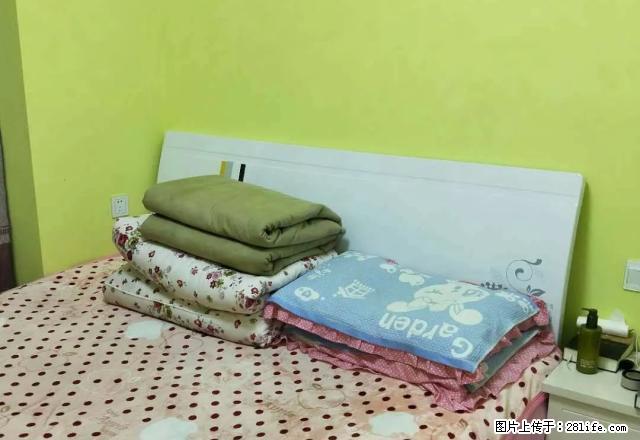 翰林华府，1室2厅，白领的选择，温馨却不拥挤，拎包即可。 - 房屋出租 - 房屋租售 - 南阳分类信息 - 南阳28生活网 ny.28life.net