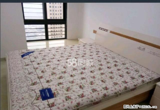 光彩市场光彩国际三室新装修出租，可拎包入住 - 房屋出租 - 房屋租售 - 南阳分类信息 - 南阳28生活网 ny.28life.net