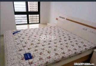 光彩市场光彩国际三室新装修出租，可拎包入住 - 南阳28生活网 ny.28life.net