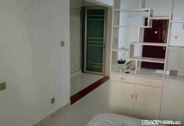 工业路 家电大世界旁 精装公寓带家具家电朝阳 温馨一房 - 房屋出租 - 房屋租售 - 南阳分类信息 - 南阳28生活网 ny.28life.net