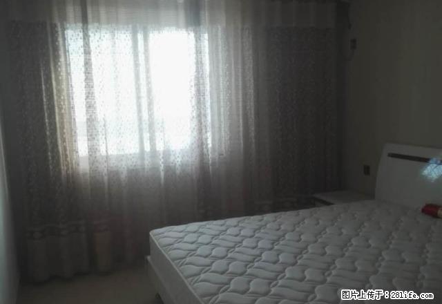 精装 阳光海岸，两室拎包入住，紧邻一高，一中，新市政府 - 房屋出租 - 房屋租售 - 南阳分类信息 - 南阳28生活网 ny.28life.net