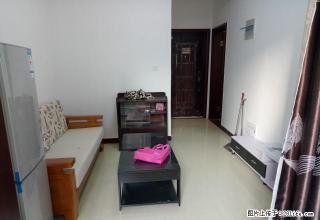 信臣路 三杰盛世城单身公寓全新家具家电齐全拎包入住凤凰城附近 - 南阳28生活网 ny.28life.net
