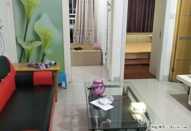 新华城市广场精装两室一厅，家具家电齐全，拎包入住出租1500 - 房屋出租 - 房屋租售 - 南阳分类信息 - 南阳28生活网 ny.28life.net