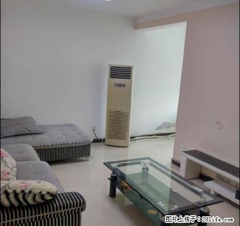 张衡路金凯悦附近 温馨两室 家电家具齐全 停车方便 随时看房 - 房屋出租 - 房屋租售 - 南阳分类信息 - 南阳28生活网 ny.28life.net