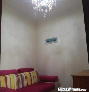 二十一小旁 精装2室 家具家电齐全 拎包入住 - 南阳28生活网 ny.28life.net