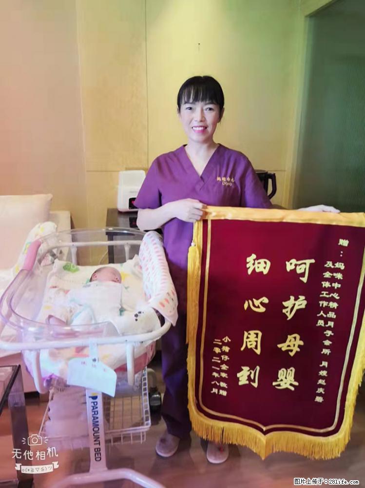 上海高端月子会所招新手月嫂，零基础带教，包吃住 - 职场交流 - 南阳生活社区 - 南阳28生活网 ny.28life.net