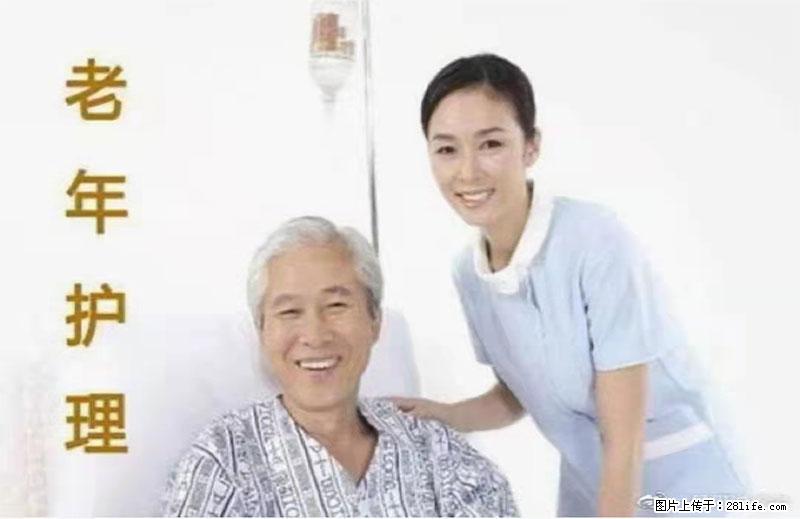 上海国企养老院，星级酒店环境，招聘养老护工 - 职场交流 - 南阳生活社区 - 南阳28生活网 ny.28life.net