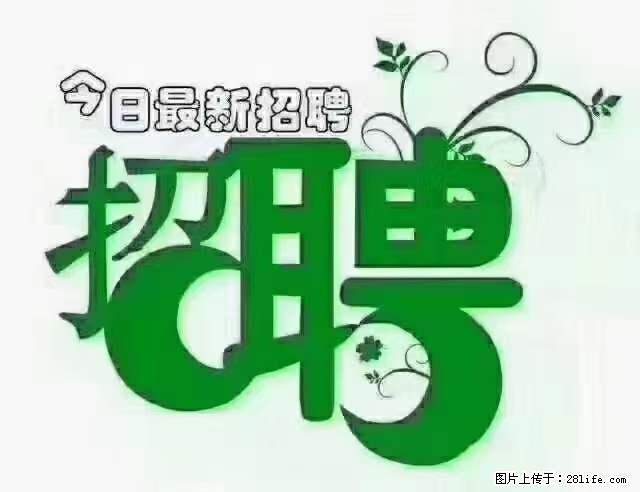 【招聘摄像师】待遇：试用期6000元/月，转正7000元/月+五险一金+餐补+节日福利+奖金 - 职场交流 - 南阳生活社区 - 南阳28生活网 ny.28life.net