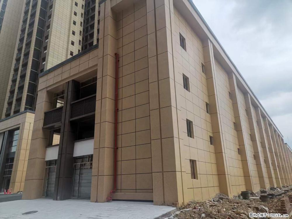 【广西三象建筑安装工程有限公司】外墙涂料工程 - 新手上路 - 南阳生活社区 - 南阳28生活网 ny.28life.net