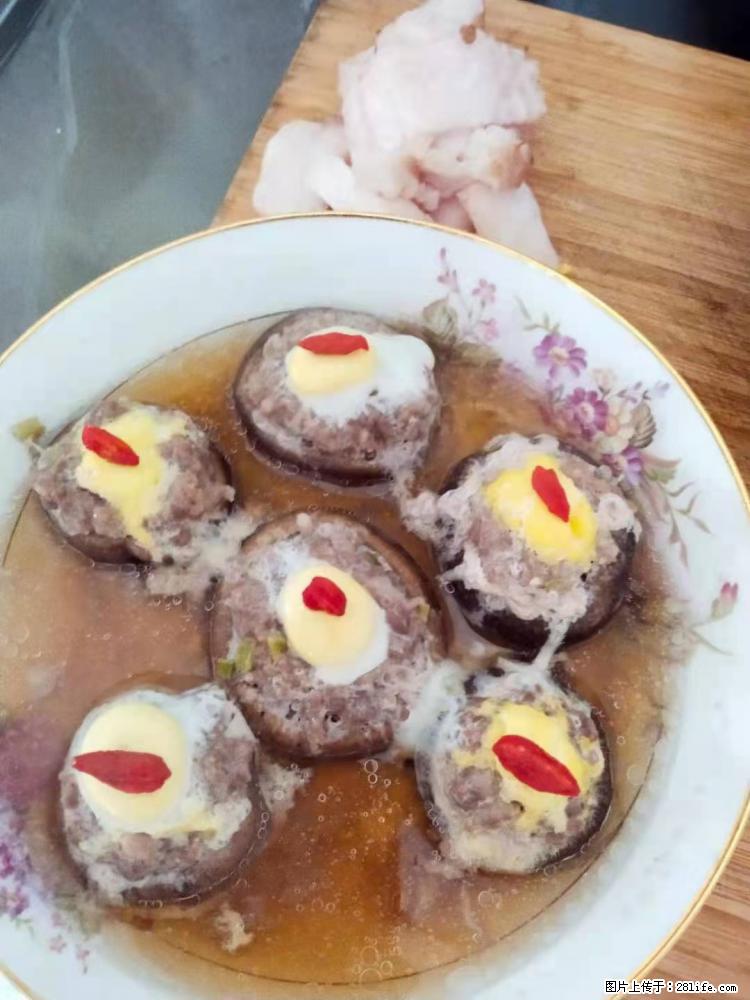 【招聘】住家保姆，工作地点，上海 - 职场交流 - 南阳生活社区 - 南阳28生活网 ny.28life.net